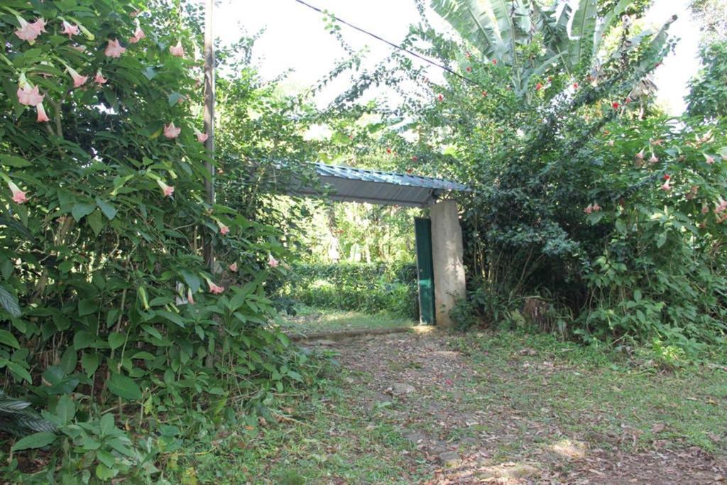 Villa Bema Farm Sao Jose Exterior foto
