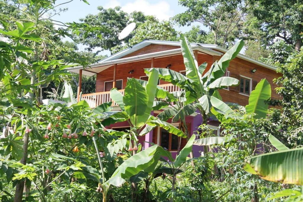 Villa Bema Farm Sao Jose Exterior foto